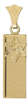 14K Yellow Gold Rectangular Mezuzah Pendant Star of Daivd Zion Comes in Gift Box (chain is optional)