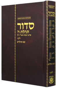 Chabad Siddur Annotated Hebrew with English Instructions Standard Edition