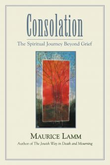 Consolation: The Spiritual Journey Beyond Grief. By Rabbi Morris Lamm -Paperback Edition