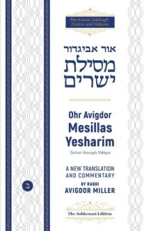 Mesillas Yesharim Ohr Avigdor Bet (Volume 2) By Rabbi Avigdor Miller