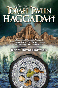 Torah Tavlin Haggadah: Stories and Sayings, Wit and Wisdom from our Sages By Rabbi Dovid Hoffman