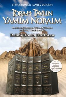 Torah Tavlin: Yamim Noraim (Elul Holidays) By Rabbi Dovid Hoffman