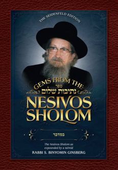 Gems from the Nesivos Shalom Slonimer Rebbe: Bamidbar By: Rabbi S. Binyomin Ginsberg