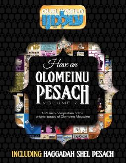 Have an Olomeinu Pesach Volume 2 Includes Haggadah Shel Pesach