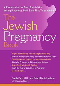 The Jewish Pregnancy Book: A Resource for the Soul, Body & Mind during Pregnancy, Birth & the First