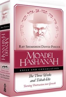 Moadei Hashanah: Exile And Consolation The Three Weeks & Tishah B'Av by Rabbi Shimshon Dovid Pinkus