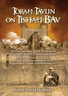 Torah Tavlin on Tisha B'av, the Three Weeks, Eichah and Kinos By Rabbi Dovid Hoffman
