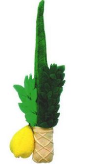 Lulav and Etrog Soft Children's Toy - Plush Play Set for Kids- A Bestseller
