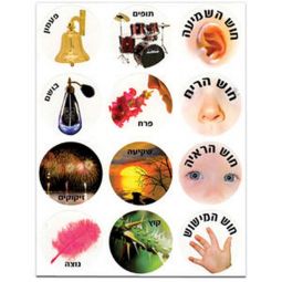 Hebrew Vocabulary Colorful Jewish Stickers - The Five Senses - Set of 120 stickers