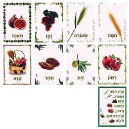 Shivat HaMinim The 7 Species of Israel Picture Set of 7 made in Israel