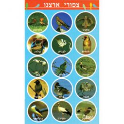 Birds of Israel Hebrew Vocabulary Jewish Stickers