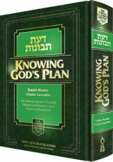 Sold out & OUT OF PRINT Knowing G-d's Plan (Daas Tevunos) by Rabbi Moshe Chaim Luzzatto (the RaMCHaL