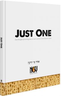 Out of stock NCSY Passover Haggadah "Just ONE" By Dovid Bashevkin