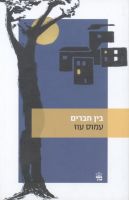 Hebrew Literature, Novels