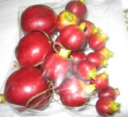 Bag of Hanging Pomegranates (Rimonim) Sukkah Decoration Set of 10