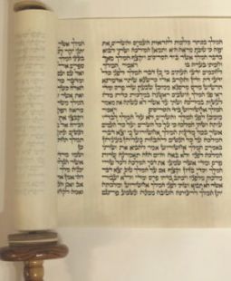 SOLD OUT  13 1/4" Megillat Esther Scroll Ashkenaz Beit Yosef Script Kosher Parchment on Wooden Etz C