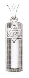 925 Sterling Silver 3/4" Oval Mezuzah Pendant Star of David "Zion" & Stainless Steel 20" Necklace