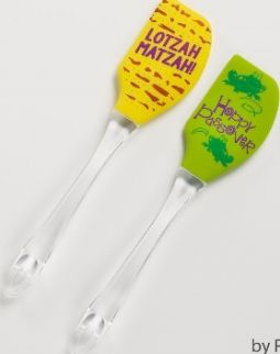 Passover Silicone Spatula with Clear Plastic Handle Frogs Design ONLY  Great Hostess Gift!