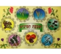 Shivat Haminim Seven Species Jewish Classroom Poster