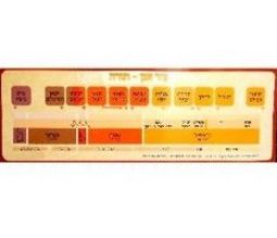 Torah Timeline Colorful Jewish Classroom Hebrew Poster 13"x 38"  Made in Israel