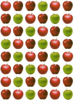 Apples Green and Red Jewish Rosh Hashana Stickers 0.75' Set of 480