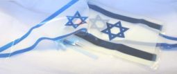 Plastic Israeli Flag Banner - Small - Set of 9