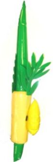 My First Lulav & Etrog Inflatable