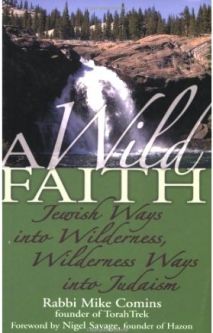 A Wild Faith: Jewish Ways Into Wilderness, Wilderness Ways Into Judaism By Rabbi Mike Comins