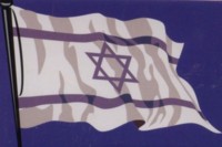 Israeli Flag Jewish Magnet