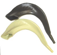 Childrens' Plastic Toy Shofar (Brown or off White) with Wistle