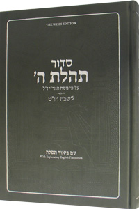 Linear Shabbos & Yom Tov Siddur for Youth with English - Weiss Edition