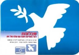 Atzmaut Jewish Stencil Set of 2 - Israeli flag & Dove of Peace