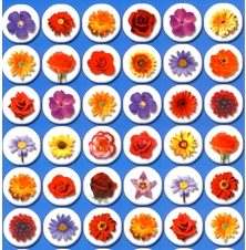 Small Flowers Jewish Stickers made in Israel Set of 480
