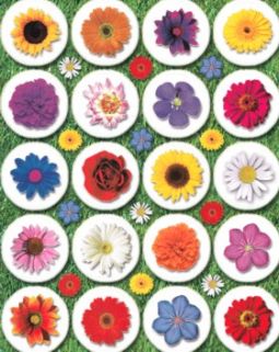 Colorful Flowers Jewish Stickers Set of 200 stickers