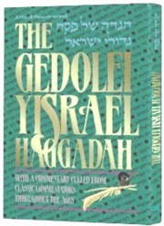 The Gedolei Yisroel Haggadah By Rabbi Yisroel Stein